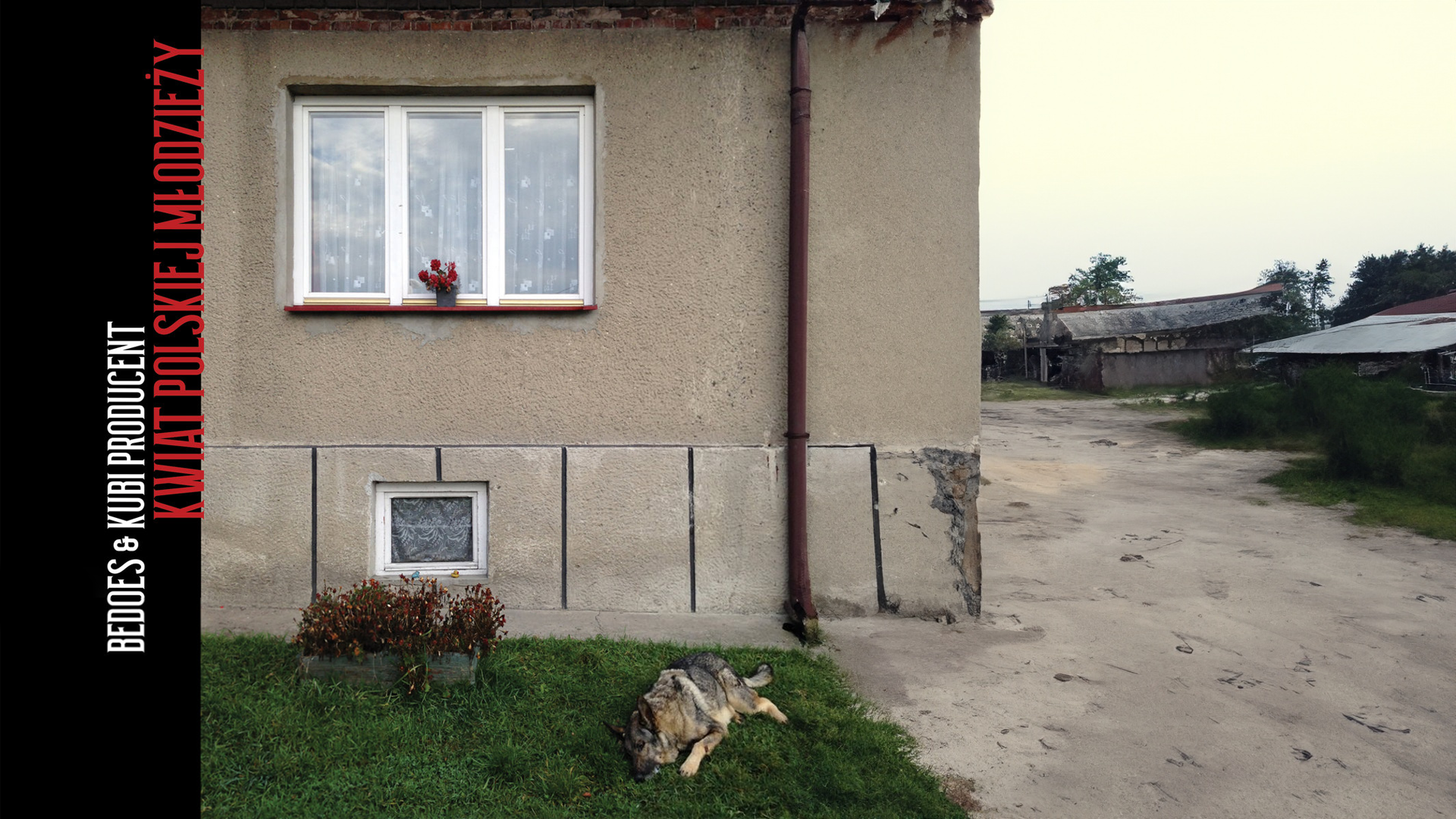 Bedoes - Kwiat polskiej młodzieży